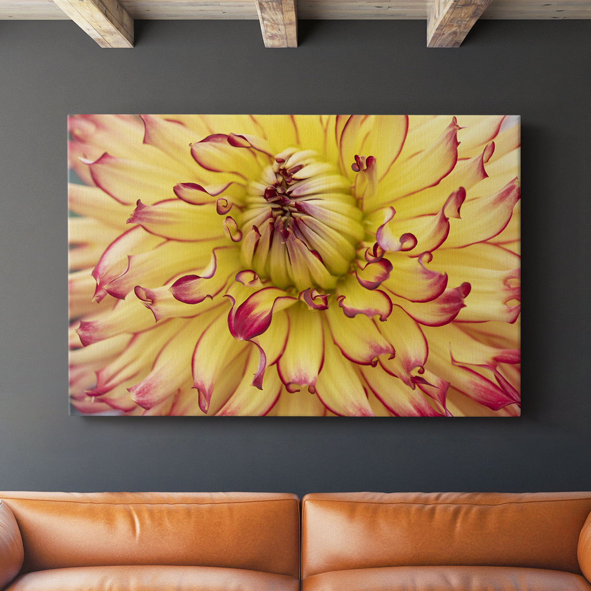 Blooms II - Canvas Art Print