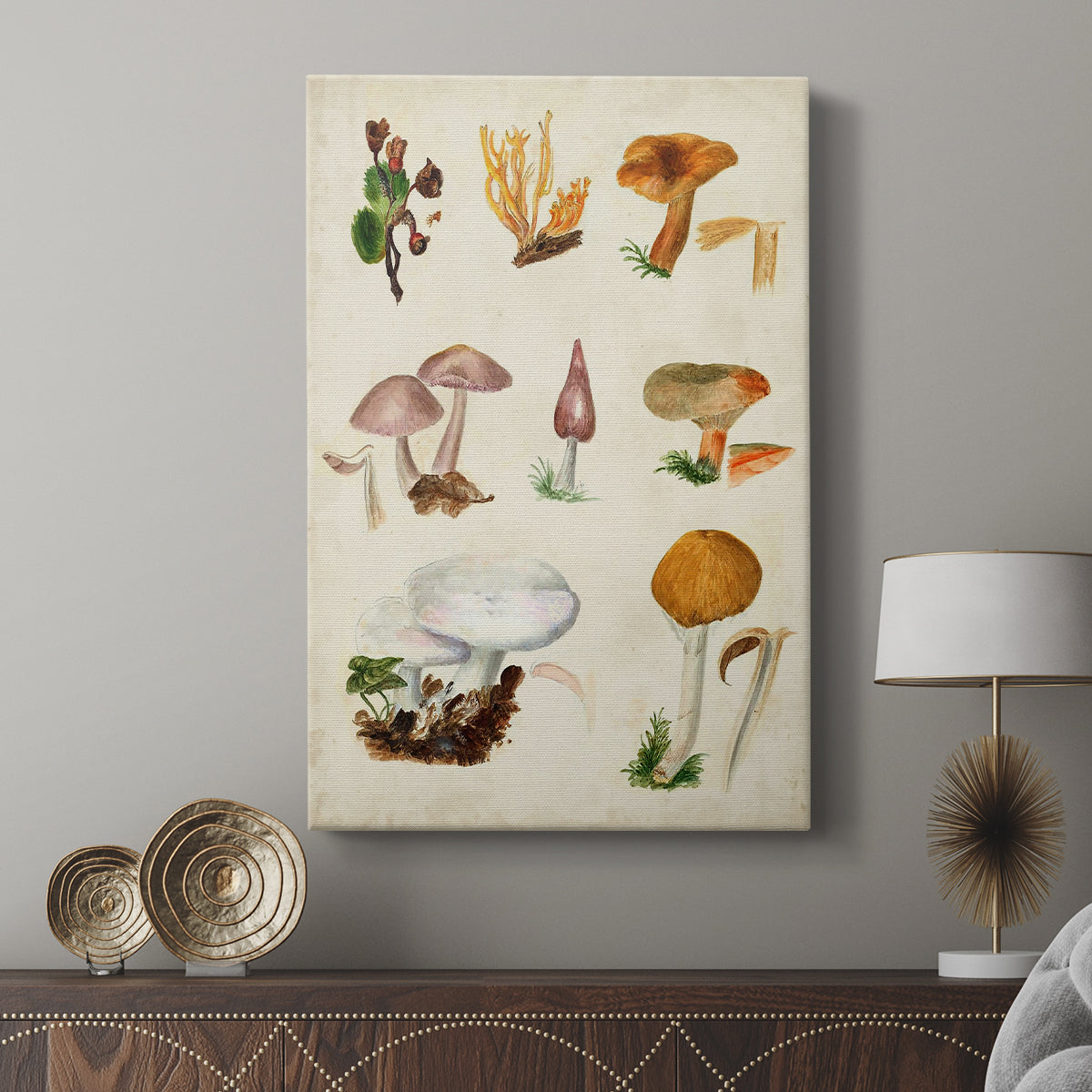 Mushroom Species VI - Canvas Art Print