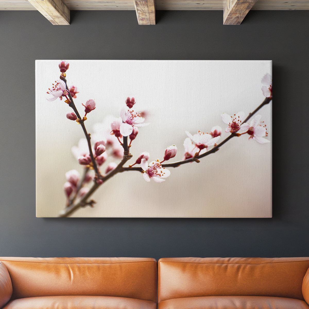 Cherry Blossom Study I - Canvas Art Print
