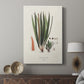 Botanical Society Ferns V - Canvas Art Print