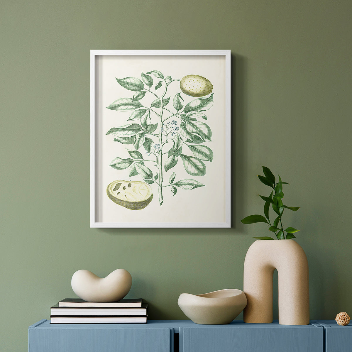 Buchoz Tropicals III - Restickable Framed Art Print