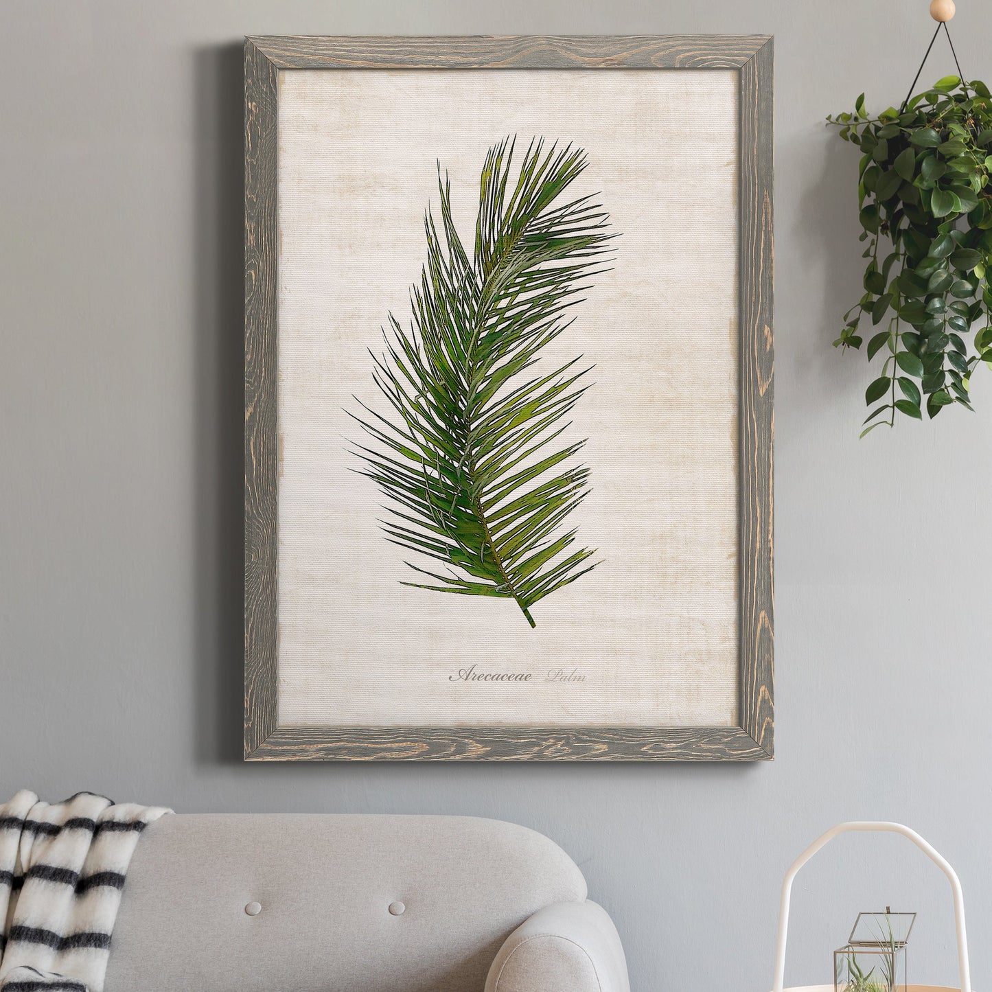 Palm Botanical II - Premium Canvas Framed in Barnwood - Ready to Hang