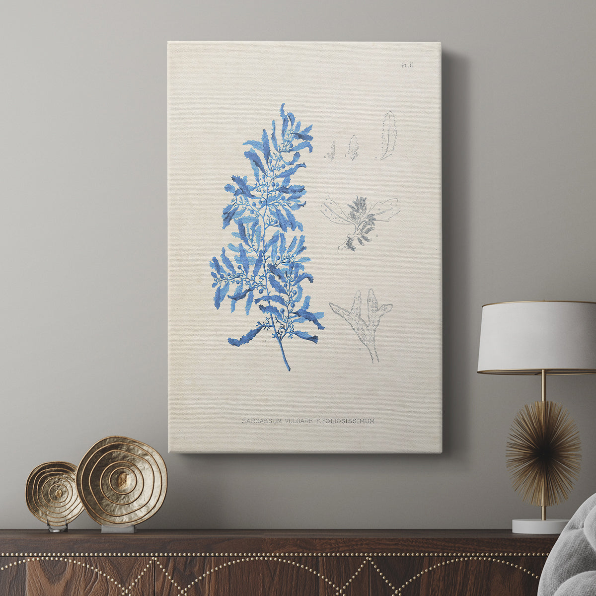 Blue Marine Algae VI - Canvas Art Print