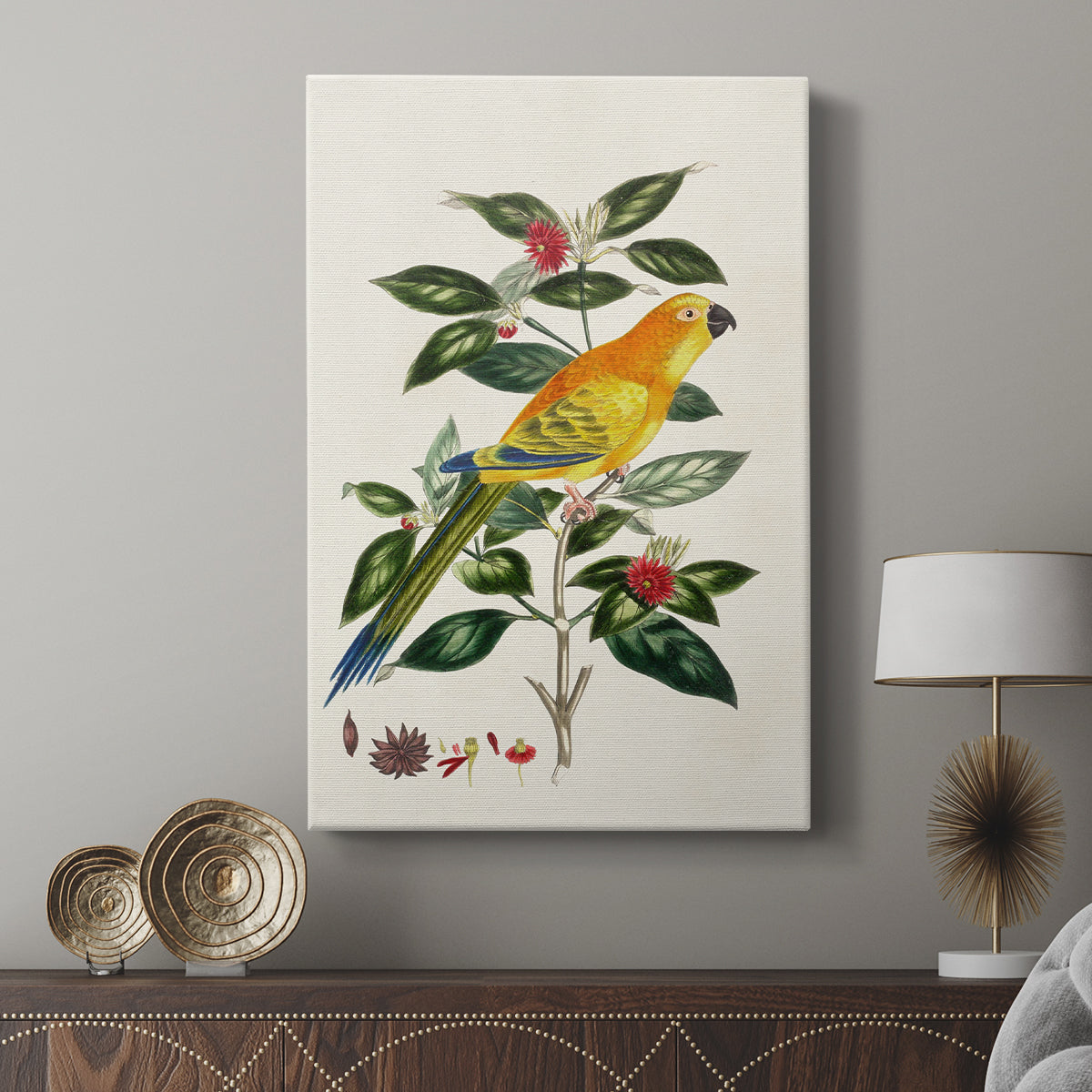 Solstice Parrot, 1796 - Canvas Art Print
