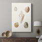 Pastel Knorr Shells IX - Canvas Art Print