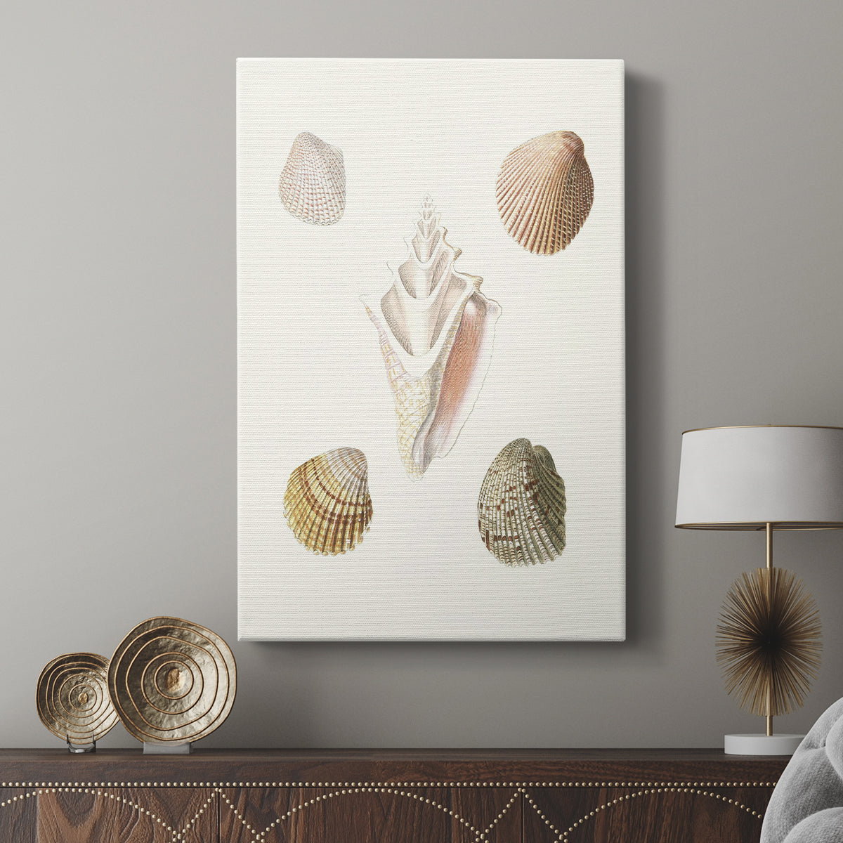 Pastel Knorr Shells IX - Canvas Art Print