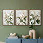 Floral Study Series LXXXVII - Restickable Framed Art Set