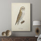 French Owls VI - Canvas Art Print