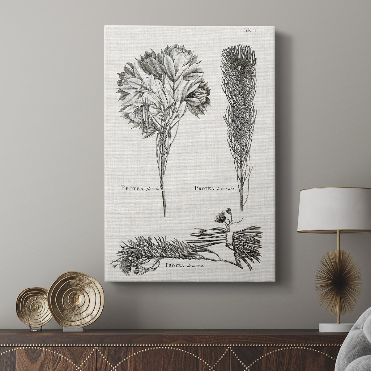 Black & White Protea on Linen I - Canvas Art Print