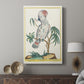 Red-Crested Cockatoo, 1771-1775 - Canvas Art Print