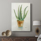 Succulent IV - Canvas Art Print