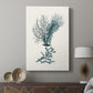 Antique Coastal Coral VI - Canvas Art Print