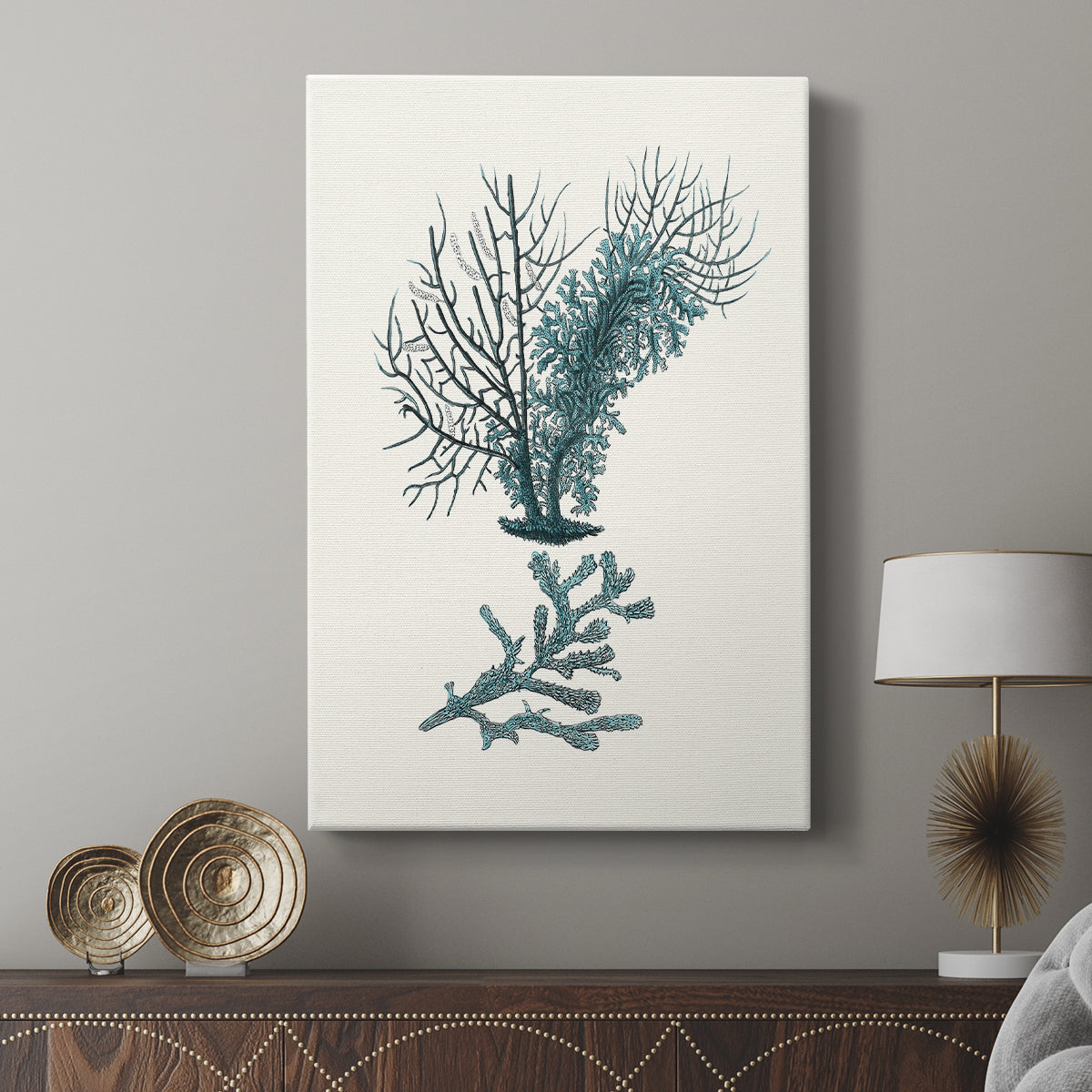 Antique Coastal Coral VI - Canvas Art Print