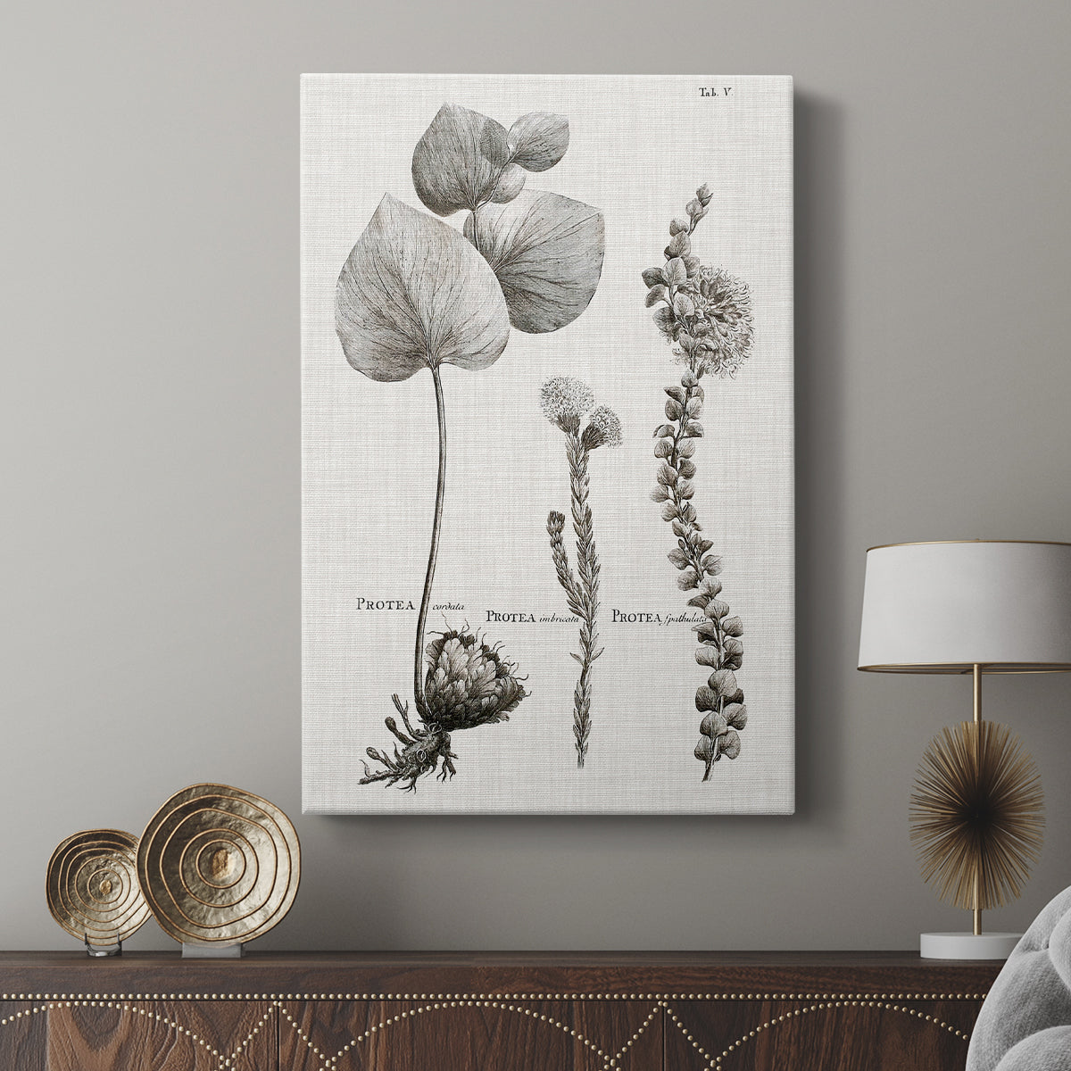 Black & White Protea on Linen II - Canvas Art Print