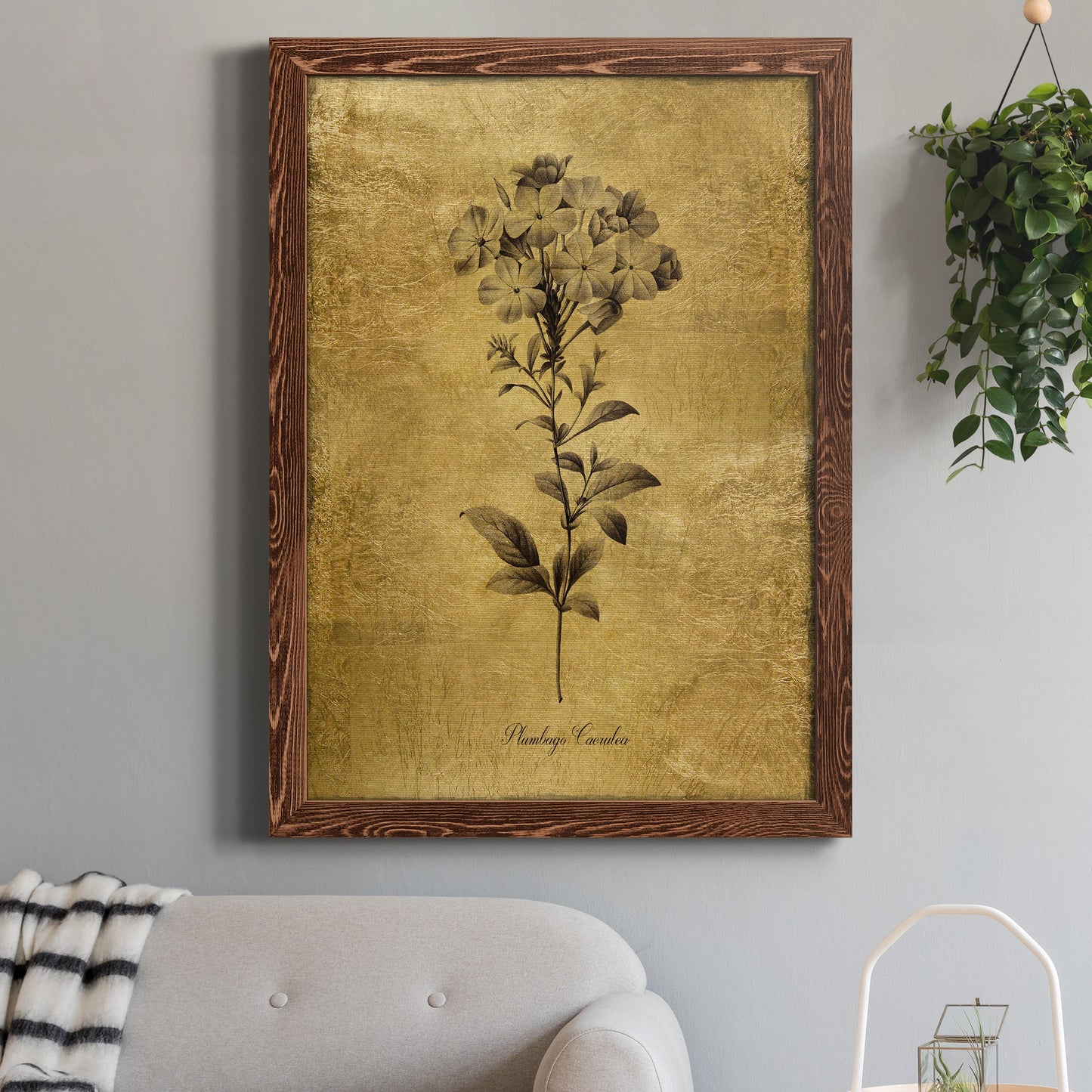 Gold Sketch Botanical II - Premium Canvas Framed in Barnwood - Ready to Hang