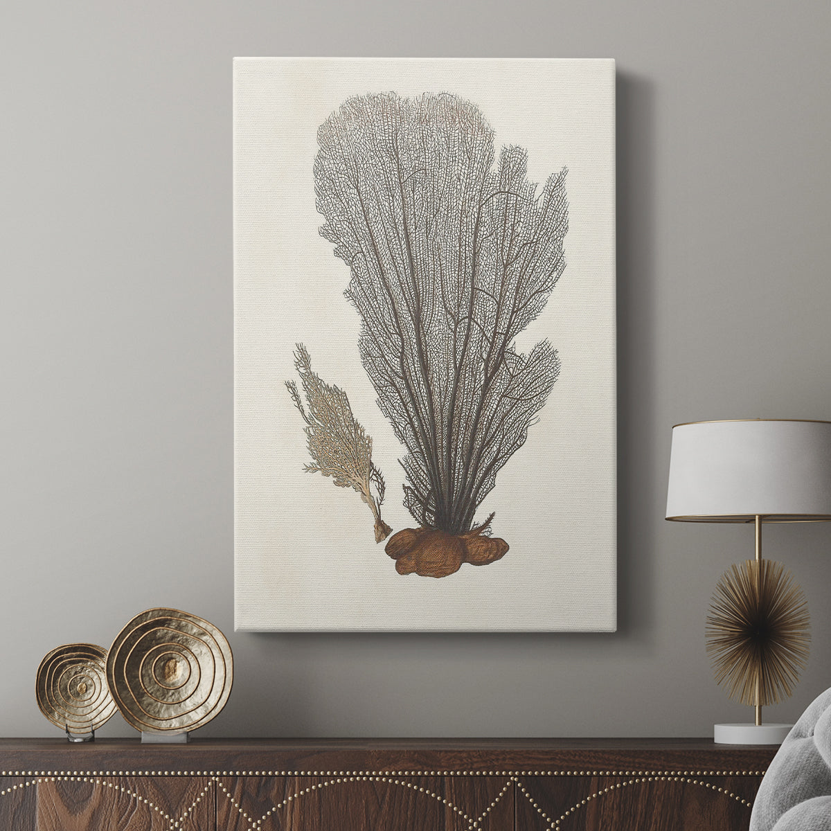 Knorr Shells & Coral III - Canvas Art Print