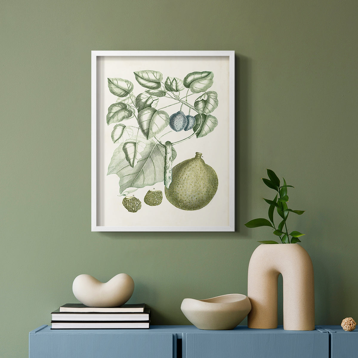 Buchoz Tropicals VIII - Restickable Framed Art Print