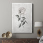 Vintage Botanical I - Canvas Art Print