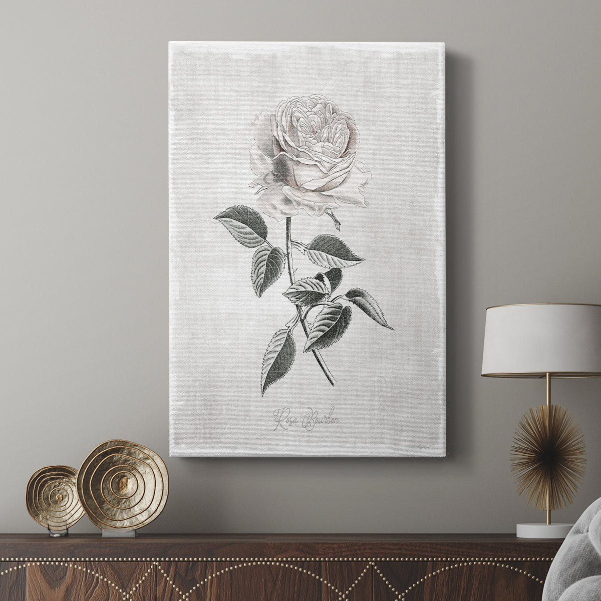 Vintage Botanical I - Canvas Art Print