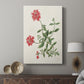 Flowers of the Seasons XI - Canvas Art Print