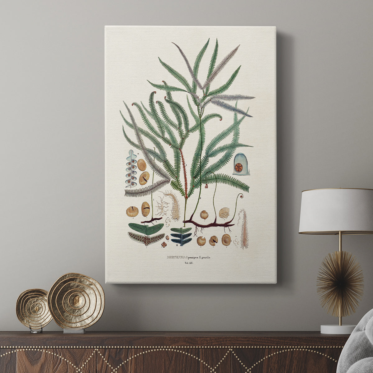 Botanical Society Ferns VII - Canvas Art Print