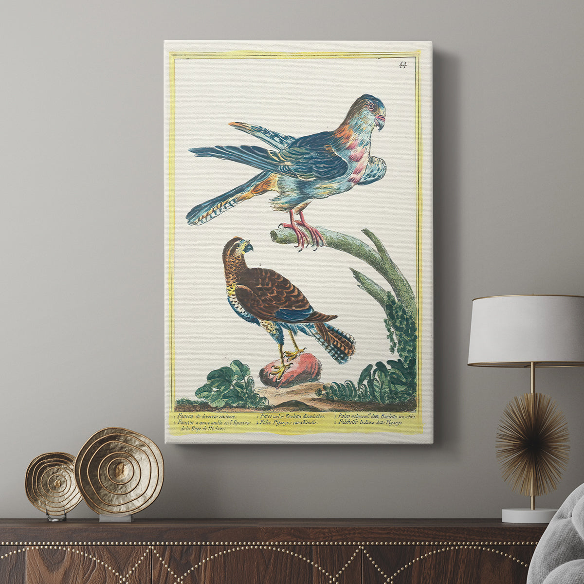 Falcons, 1771-1775 - Canvas Art Print