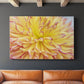Blooms III - Canvas Art Print