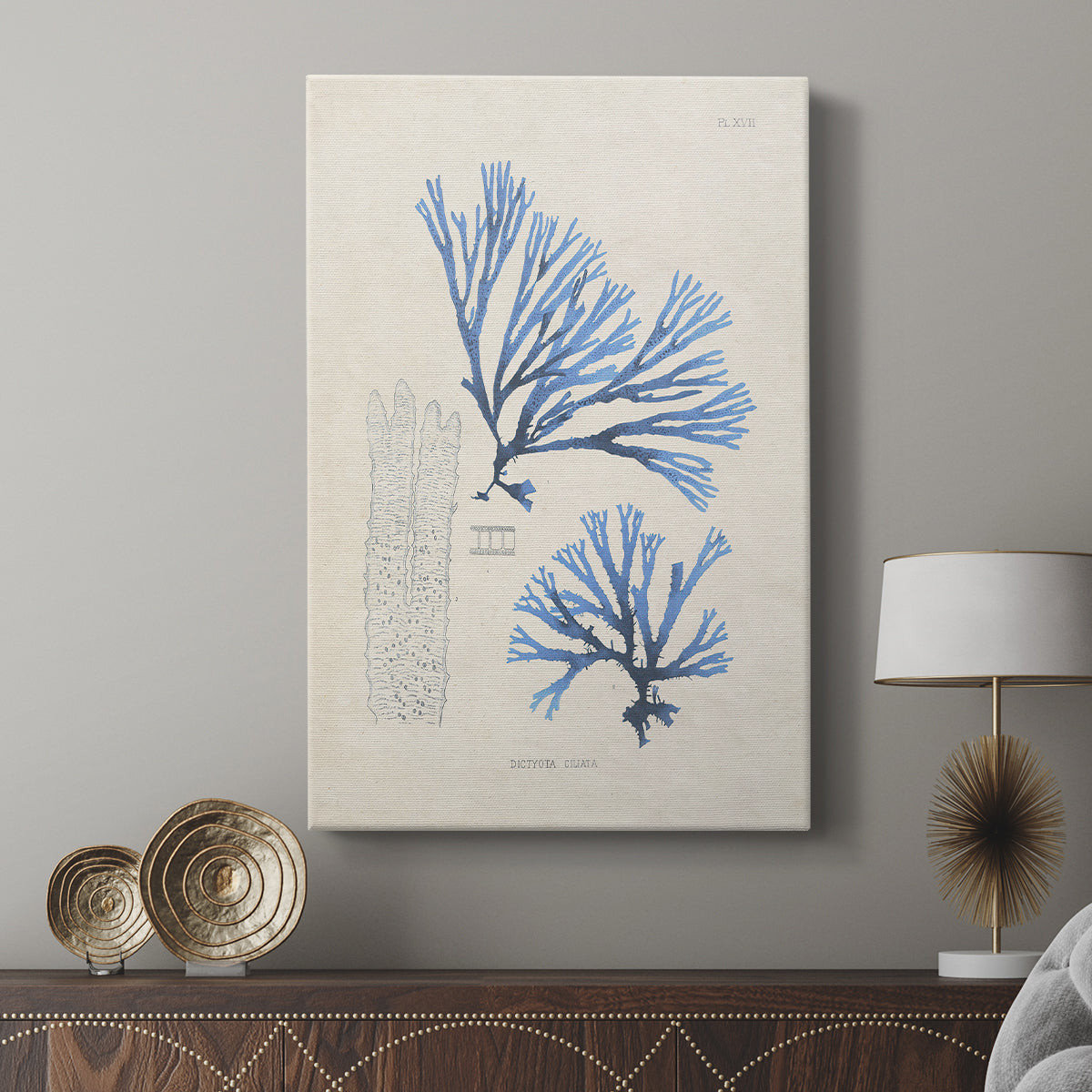 Blue Marine Algae V - Canvas Art Print