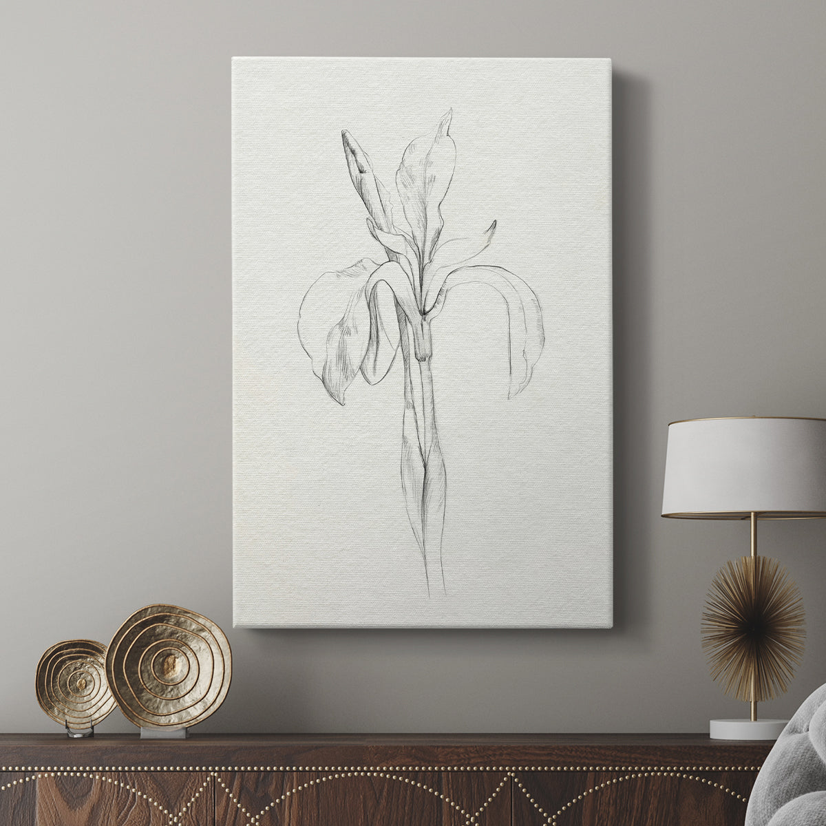 Neutral Iris Sketch II - Canvas Art Print
