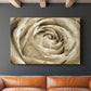 Neutral Wall Flower IV - Canvas Art Print