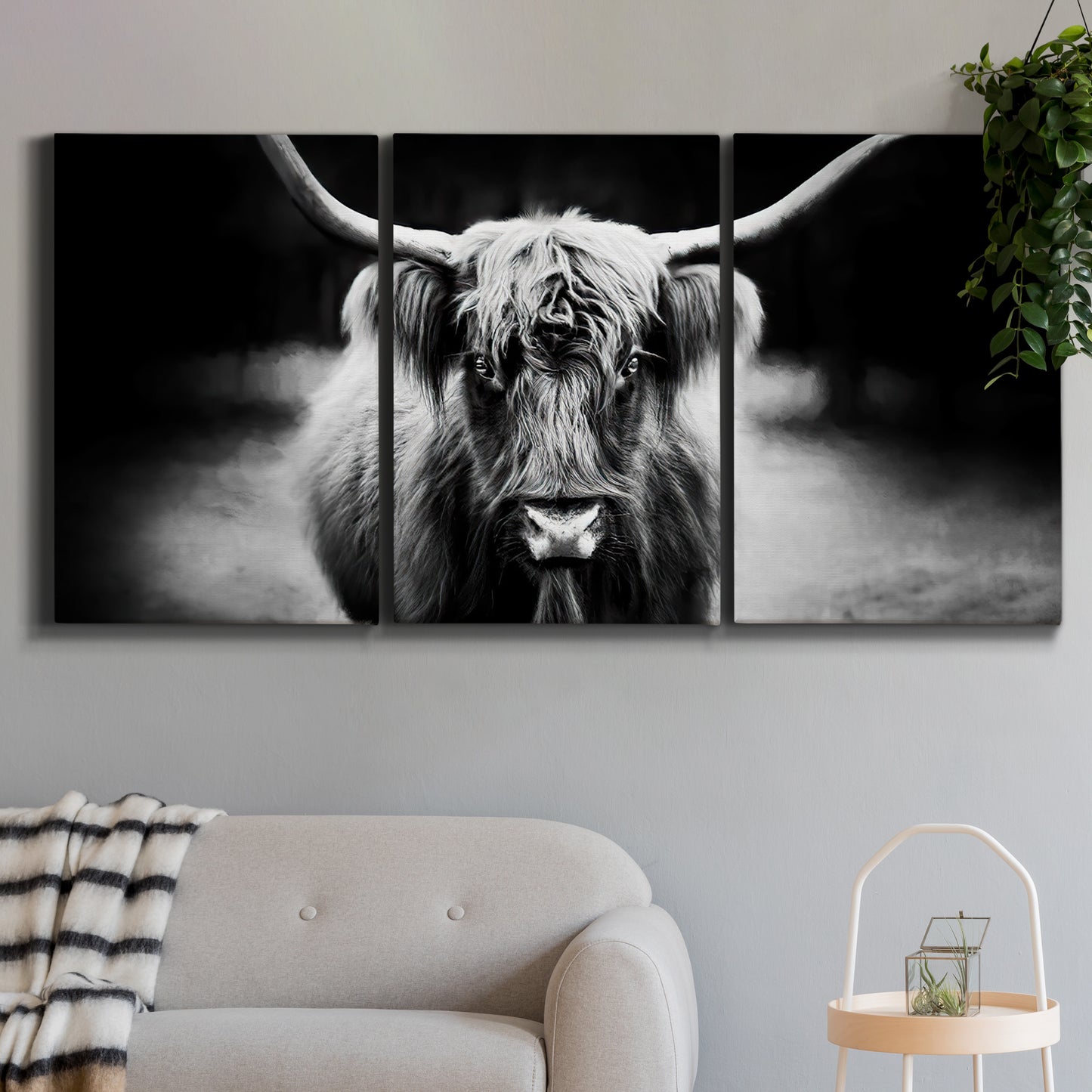 Three-panel canvas wall art featuring black and white cattle portrait, displayed in a modern living room above a sofa.