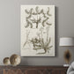 Sepia Botanical Journal VI - Canvas Art Print