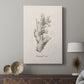Shore Treasure Study II - Canvas Art Print