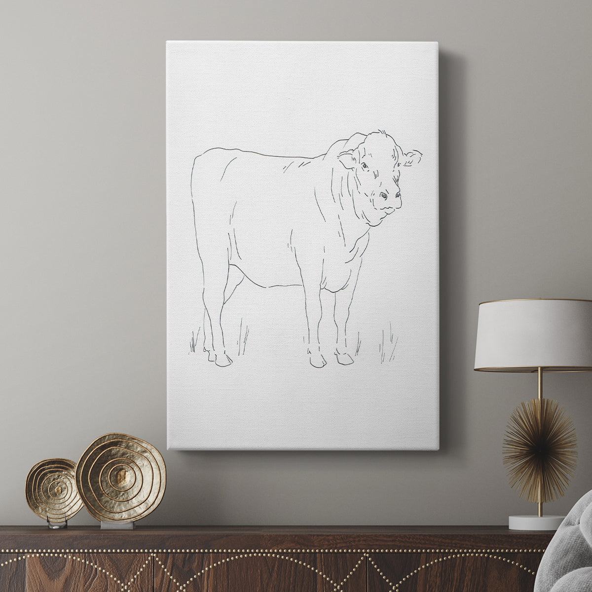 Limousin Cattle I  - Canvas Art Print