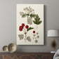 Leaves & Berries III - Canvas Art Print