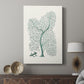 Antique Coastal Coral II - Canvas Art Print