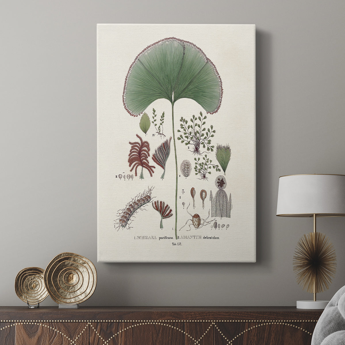 Botanical Society Ferns III - Canvas Art Print