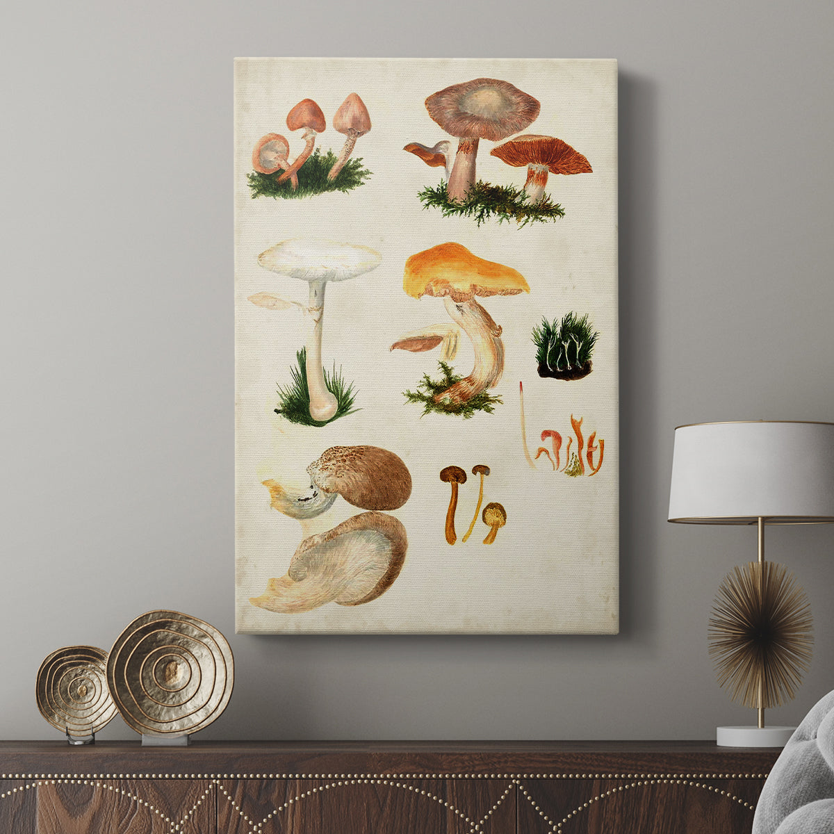 Mushroom Species IV - Canvas Art Print