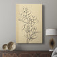 Magnolia Sketch I - Canvas Art Print