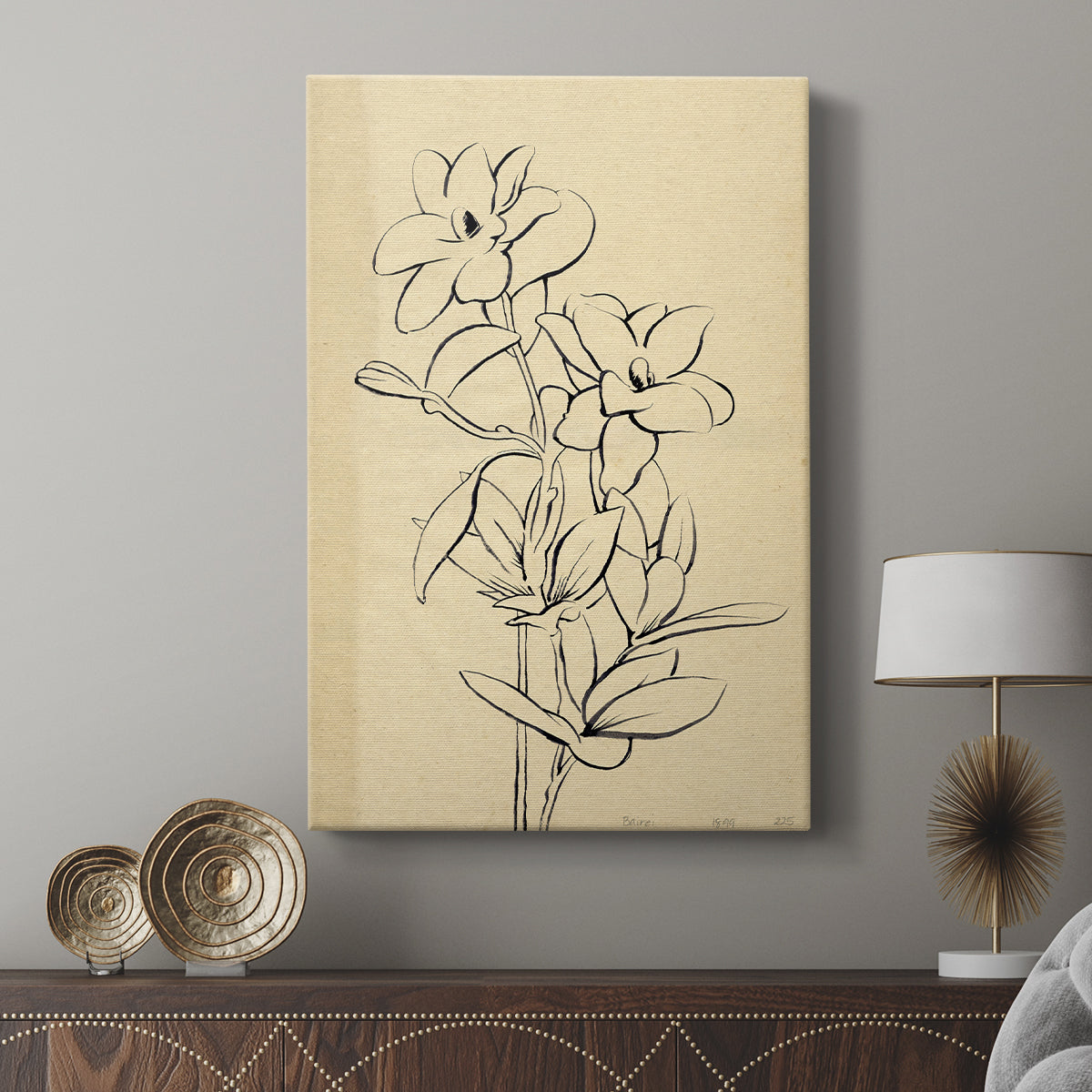 Magnolia Sketch I - Canvas Art Print