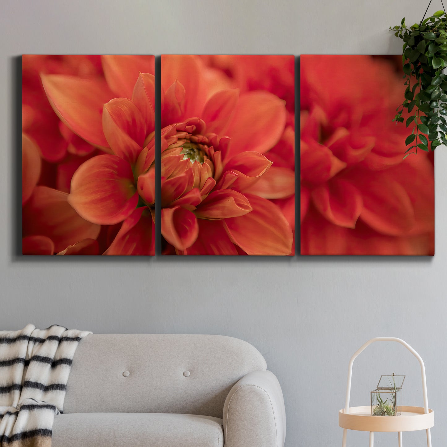 Three-panel canvas wall art featuring vivid red floral close up, displayed in a modern living room above a sofa.