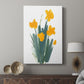 Daffodil Bunch II - Canvas Art Print