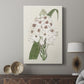 Flore Albo II - Canvas Art Print