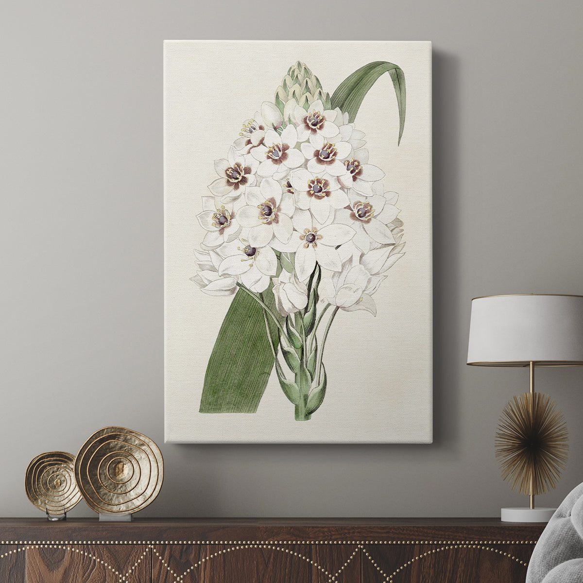 Flore Albo II - Canvas Art Print
