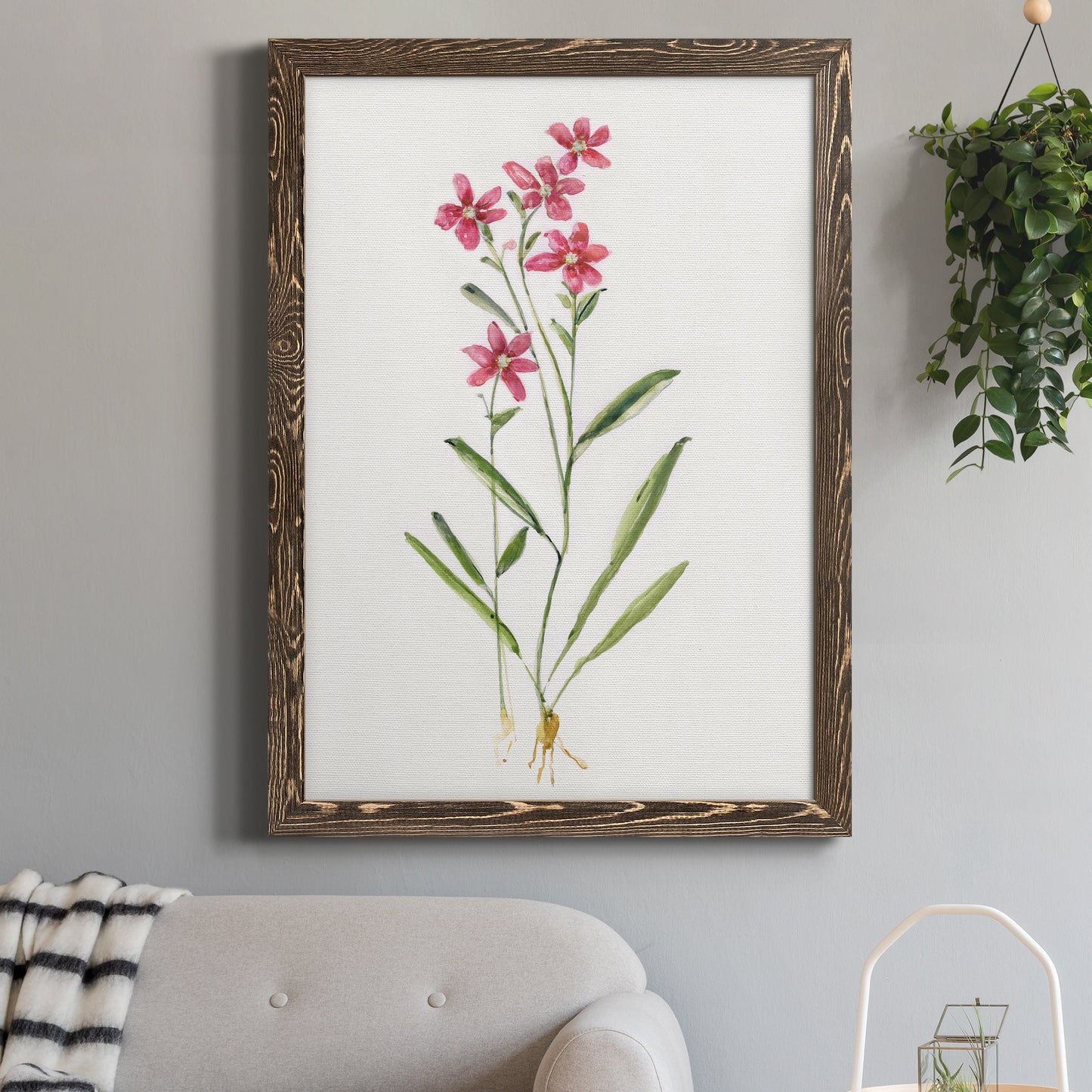 Delicate Pink II - Premium Canvas Framed in Barnwood - Ready to Hang