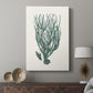 Antique Coastal Coral VIII - Canvas Art Print