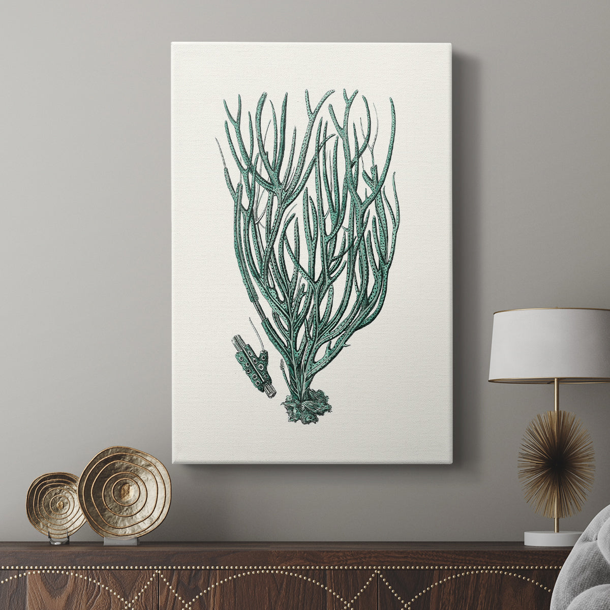 Antique Coastal Coral VIII - Canvas Art Print