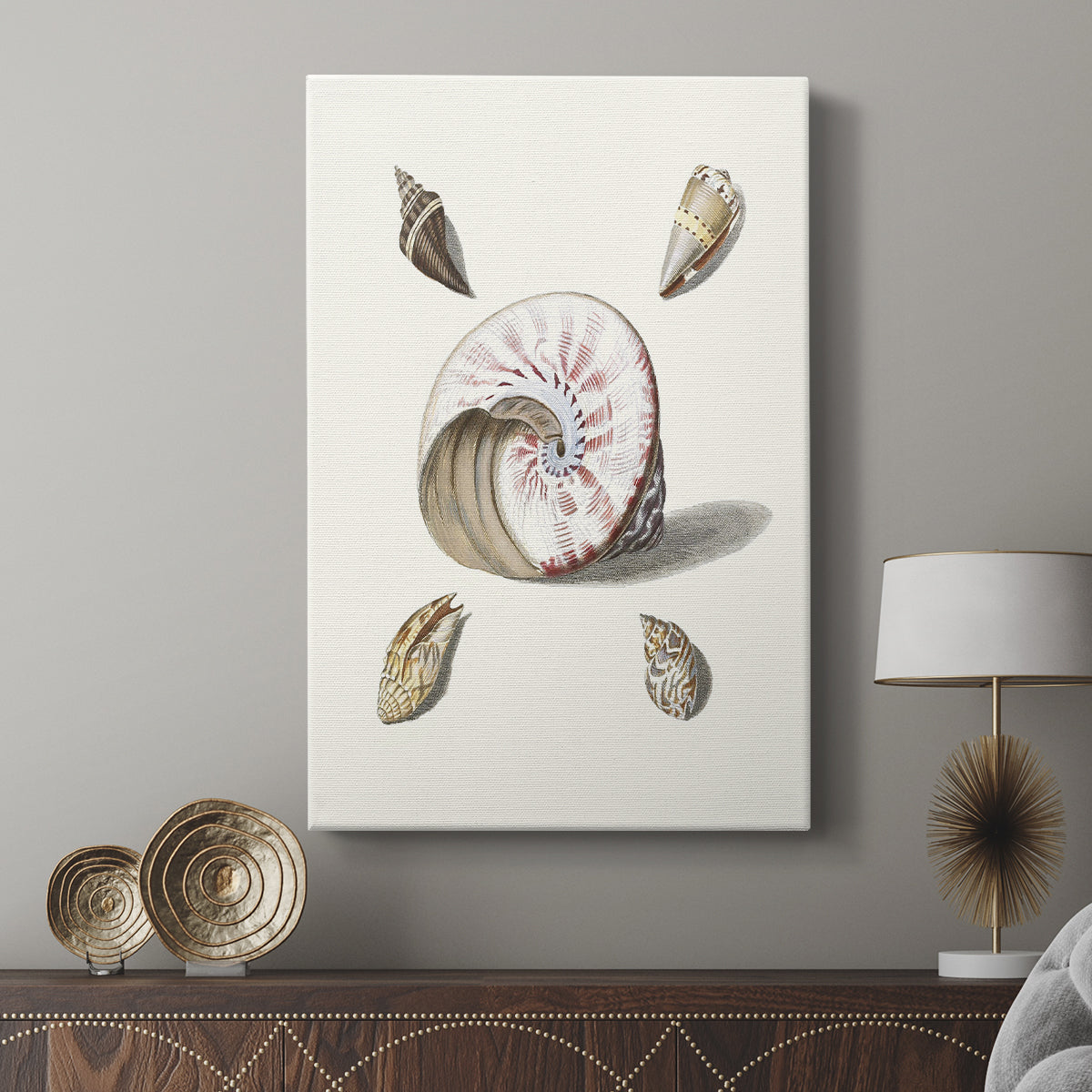 Pastel Knorr Shells II - Canvas Art Print