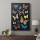 Collected Flutter IV - Canvas Art Print