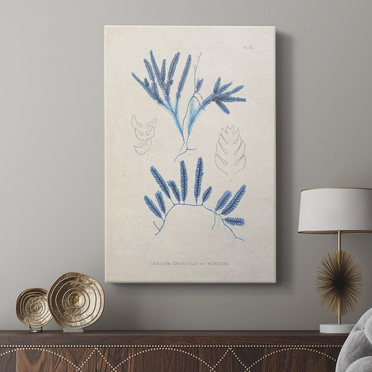 Blue Marine Algae I - Canvas Art Print